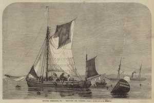 英国漁業、No。7、Whelksを駆け巡る 作： George Henry Andrews