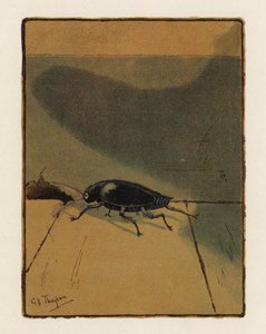 ザ・ビートル（カラーリトグラフ） 作： George Henry Thompson