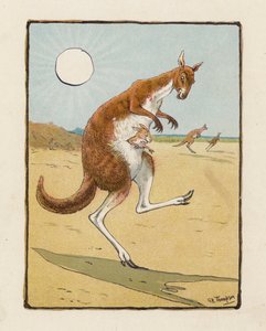 カンガルー（カラーリトグラフ）