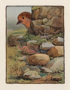 ワーム（カラーリトグラフ） 作： George Henry Thompson