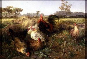 無精ひげの鶏 作： George Hickin