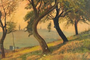 ヨハニスベルクナウハイムからのヘッセンのフリードベルク、1903 作： George Howard