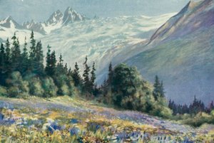 コル・ドゥ・モンテに咲くカンパニュラと7月の花々（カラーリトグラフ 作： George Jackson Flemwell