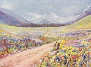 プラ・ド・フォール村に到着する直前のヴァル・フェレのサルビア、リキニスなどの6月の草原（カラーリトグラフ） 作： George Jackson Flemwell