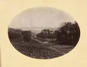 ウィリアムズタウンの道路、c。 1870。 作： George Kendall Warren