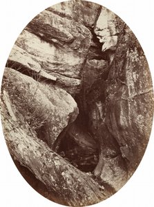 ウィリアムズ・カレッジ近くの滝。1870年（写真）