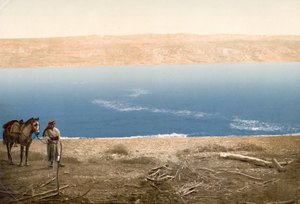 死海の近くに立っている馬を持つ男、c.1890-c.1900（フォトクロムプリント）