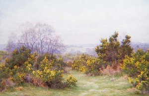 A Surrey Common（水彩画