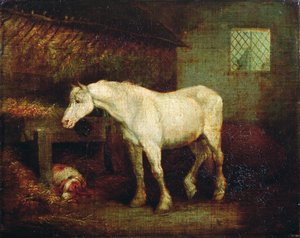 飼い葉桶の中の老いた灰色の雌馬