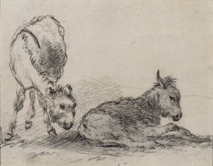 ロバの子馬（紙に炭） 作： George Morland