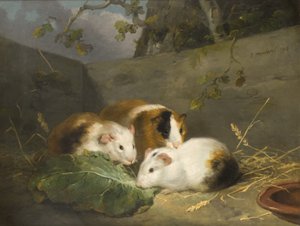 モルモット 作： George Morland