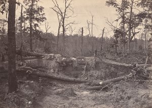 ニューホープ教会の戦場、GA、No. 2、1866。 作： George N. Barnard
