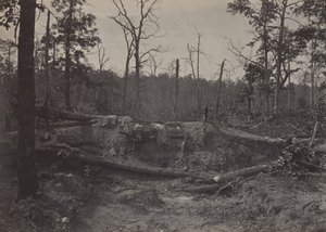 ニューホープ教会の戦場、ジョージア州第 2、1860 年代。 作： George N. Barnard