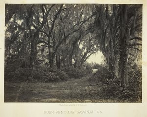 ボン ベンチュラ サバンナ、ジョージア州、1866 年。