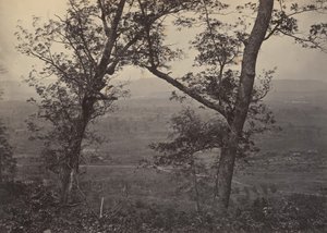 ミッション リッジのオーチャード ノブ、1860 年代。 作： George N. Barnard