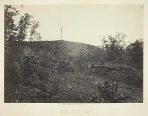 パイン マウンテン、1866 年。 作： George N. Barnard