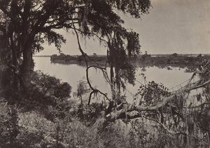 1860 年代、ジョージア州サバンナ近郊のサバンナ川。 作： George N. Barnard