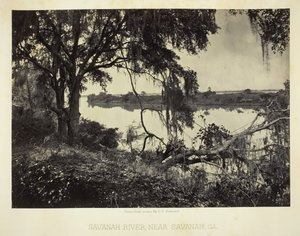 サバンナ川、ジョージア州サバンナ近郊、1866 年。 作： George N. Barnard