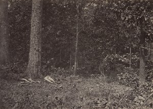 マクファーソン将軍の死の場面、1864 年または 1866 年。 作： George N. Barnard