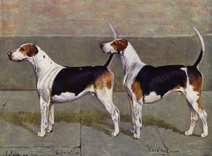 Puckeridge Foxhoundsの入植者と枢機卿 作： George Paice