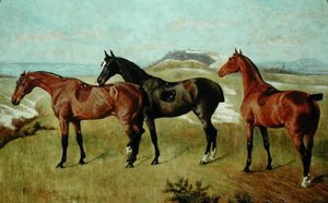 3頭の馬Whissendine、Swallow、Tiptop
