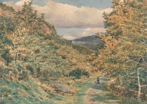 Bettws-y-Coedの近くの道 作： George Price Boyce