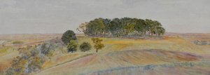 バークシャー、ウィッテナム群生地またはシノダン丘陵のひとつ、1870-90年頃（水彩画） 作： George Price Boyce