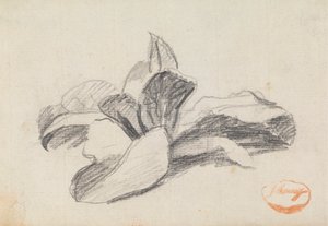 葉っぱの勉強2 作： George Romney