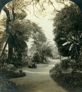 クイーンズパーク、オーストラリア、ブリスベン、c1909の経路。 作： George Rose