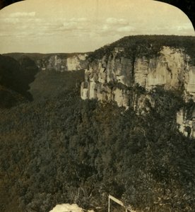 グロースバレー、ブルーマウンテン、NSW、オーストラリア、1909年。