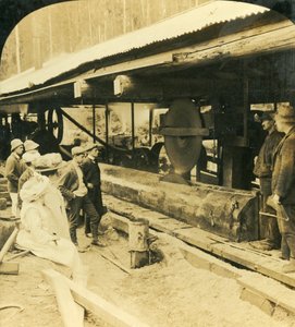 木材産業、ウォーバートン、ビクトリア、オーストラリア、1909年。 作： George Rose