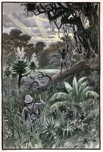 ジュール・ヴェルヌの著書 "The Aerien Village"(1901年)のためのGeorge Rouxによる挿絵、Hetzel版/Extraordinary Voyages, Known and Unknown Worlds。アフリカの森（コンゴ）の眺め。 作： George Roux