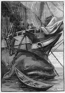 ジュール・ヴェルヌの小説 "Les histoires de Jean-Marie Cabidoulin" (1901), Hetzel Collection/Extraordiaires, イラスト：George Roux.「捕鯨船に係留されたクジラ 作： George Roux
