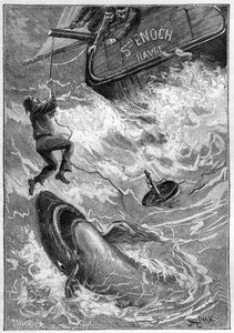 ジュール・ヴェルヌの小説 "Les histoires de Jean-Marie Cabidoulin" (1901), Hetzel Collection/Extraordiaires, イラスト：George Roux."海上の光景：太平洋でサメに襲われる船員"