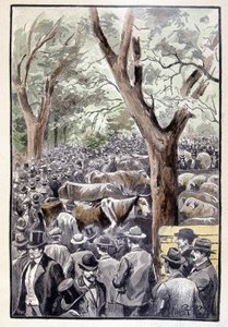 ジュール・ヴェルヌの「奇人の遺言」では、競技会場にはすでに人だかりができていた（259ページ）。 作： George Roux