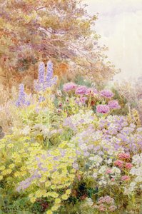 アンテミス、ポピー、ラークスパー 作： George Samuel Elgood