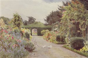チャイナローズとラベンダー、パーマーズタウン 作： George Samuel Elgood