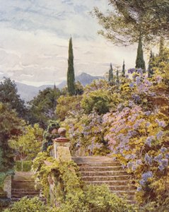 イタリア庭園：ヴィッラ・カヴァニャーロ、ウィスタリア（カラーリトグラフ） 作： George Samuel Elgood
