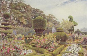 生活、バラ、ピンク 作： George Samuel Elgood