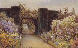 パーゴラ、大タングル 作： George Samuel Elgood