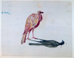 鳥、1820-1876 作： George Sand