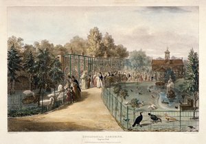 動物園、リージェンツ パーク、ロンドン、1835 年 作： George Scharf