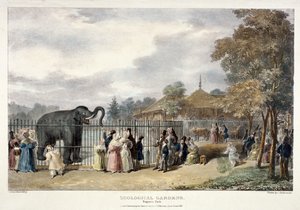 動物園、リージェンツ パーク、ロンドン、1835 年。 作： George Scharf