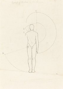 運動の範囲、1 つの図 作： George Scharf after John Flaxman