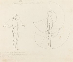 2 つの図で示される運動の範囲 作： George Scharf after John Flaxman