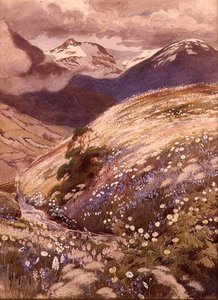 アルプスの花（水彩・紙） 作： George Soper