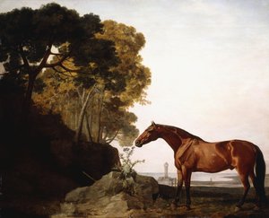 海岸の風景の中のベイアラブ、1779 作： George Stubbs
