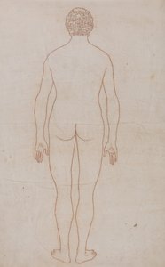 人体の構造と虎および家禽の構造の比較解剖学的説明：人体後面図（表VIIのための外形図） 作： ジョージ・スタッブス