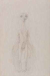人体の構造と虎および家禽の構造の比較解剖学的説明：フクロウの立ち姿、前面図 作： ジョージ・スタッブス