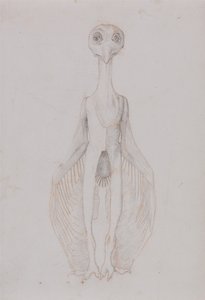 人体の構造と虎および家禽の構造の比較解剖学的解説：  フクロウの立ち姿、前面図 作： ジョージ・スタッブス